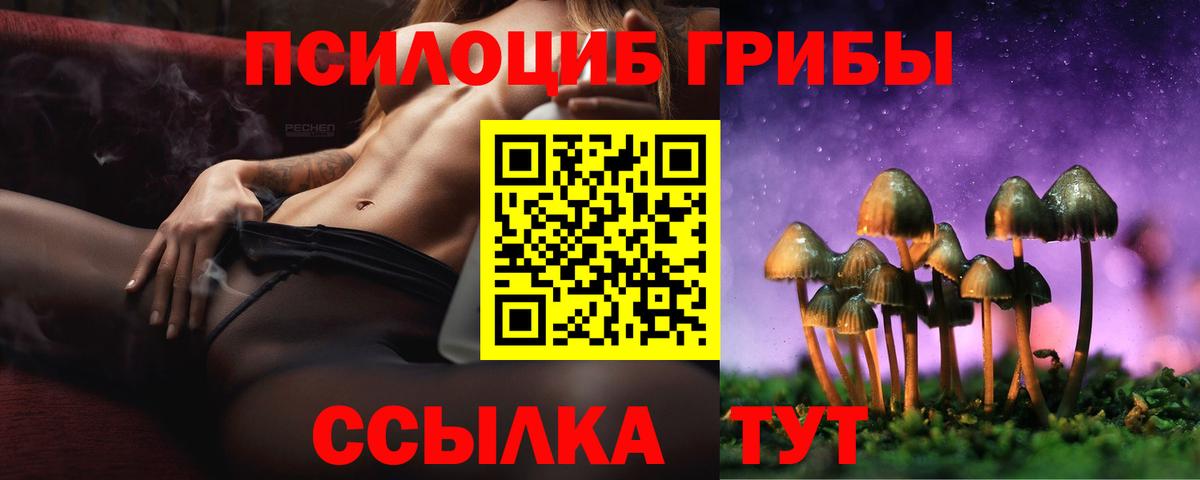 Псилоцибиновые грибы прущие грибы  Галлюциногенные грибы Psilocybine cubensis  наркошоп  Бутурлиновка  Вход с VPN 